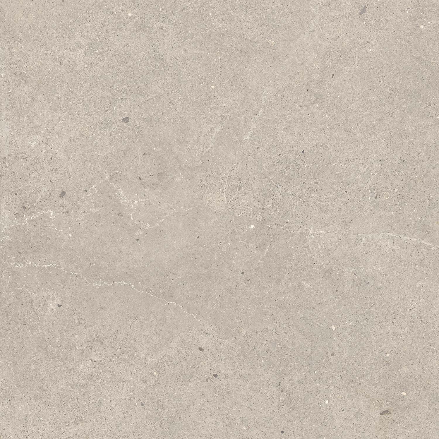 Fliese Kalkstein-Optik braun matt "Serenna Mud" Feinsteinzeug rektifiziert