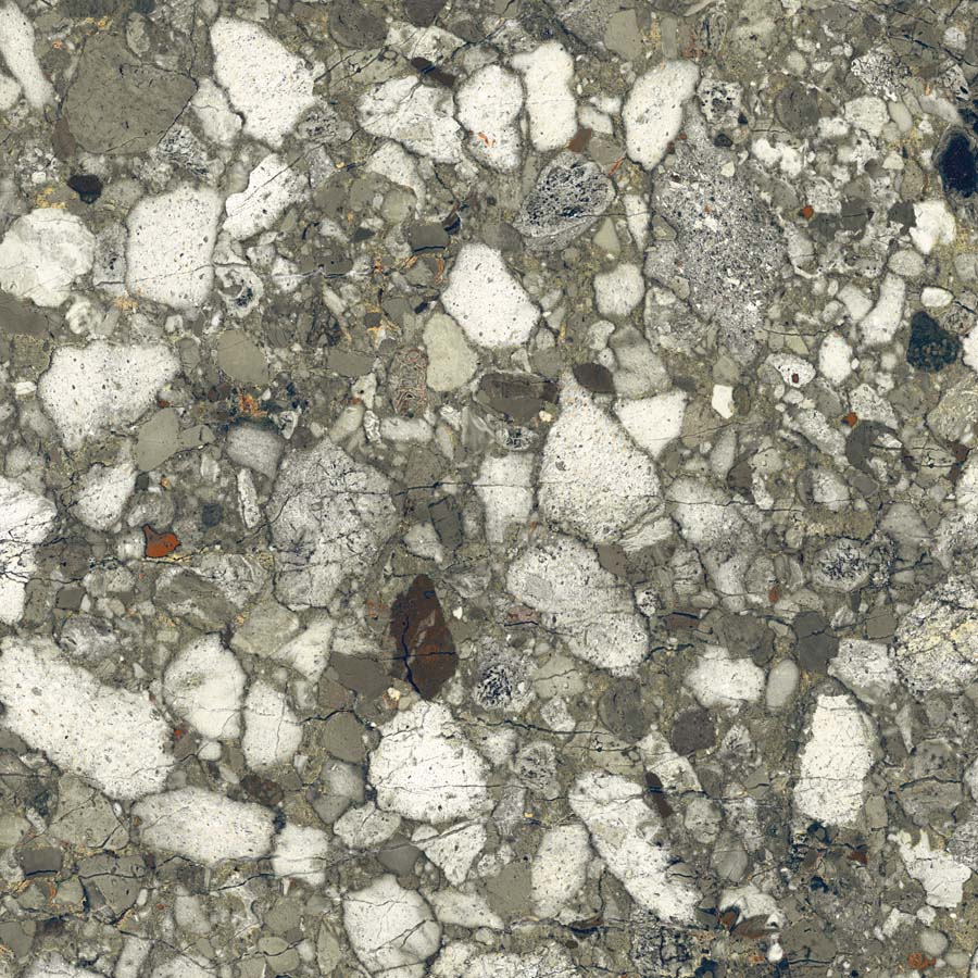 Fliese Terrazzo-Steinoptik grün glänzend 89x89 cm "Veni Emerald" rektifiziert