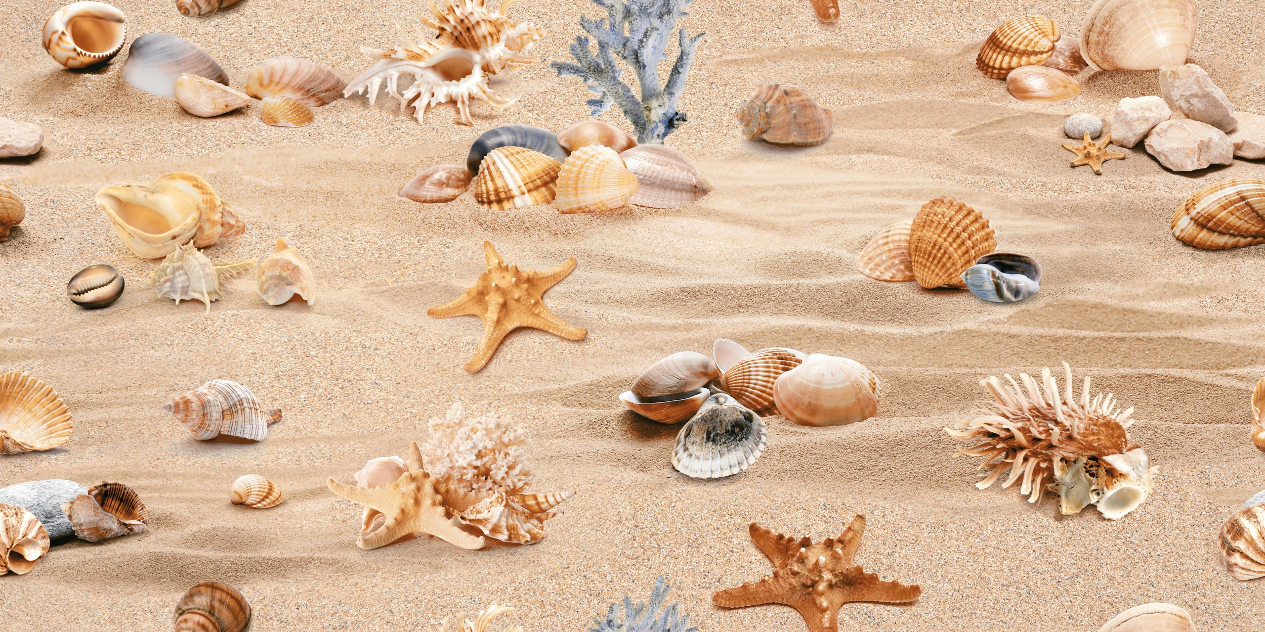 Fliese mit Strand & Muscheln Dekorfliese für Bad Wandfliese 60x120 cm