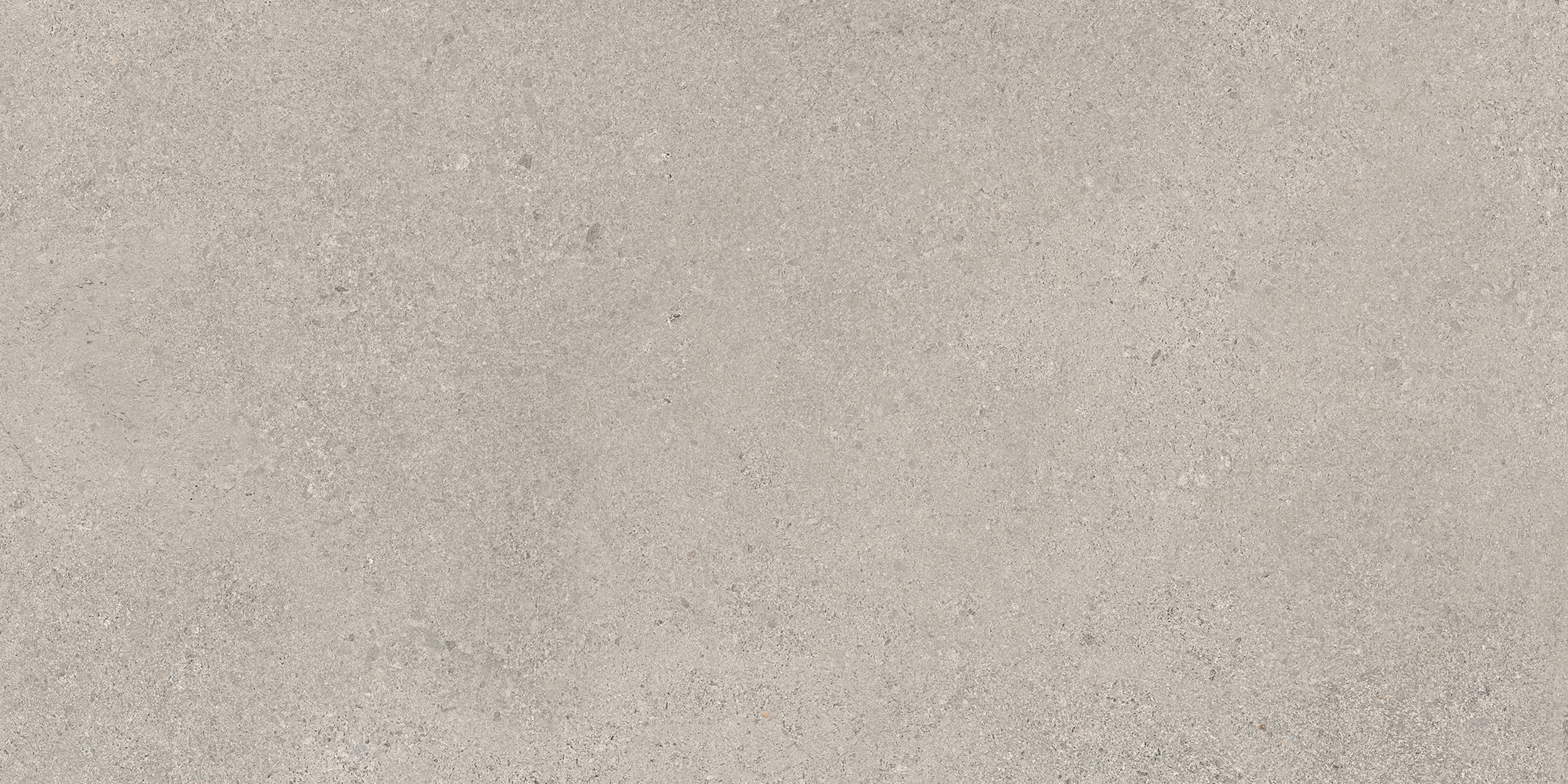 30x60 cm Fliese Zementoptik mit Terrazzo Logico Cement Sant Agostino grau-braun
