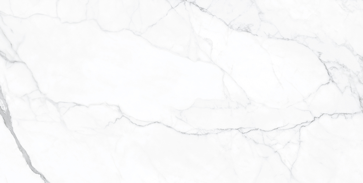 Fliese weiß marmoriert Calacatta-Marmoroptik matt 60x120 cm "Artemisa Blanco" rektifiziert