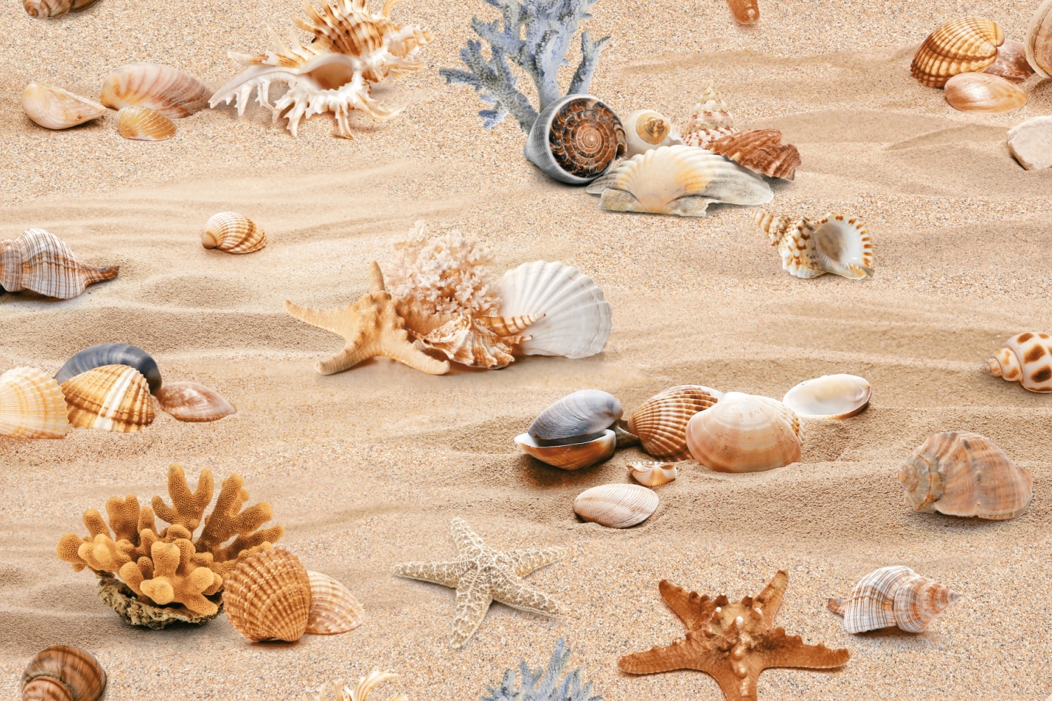 Fliese mit Strand & Muscheln Dekorfliese für Bad Wandfliese Cover