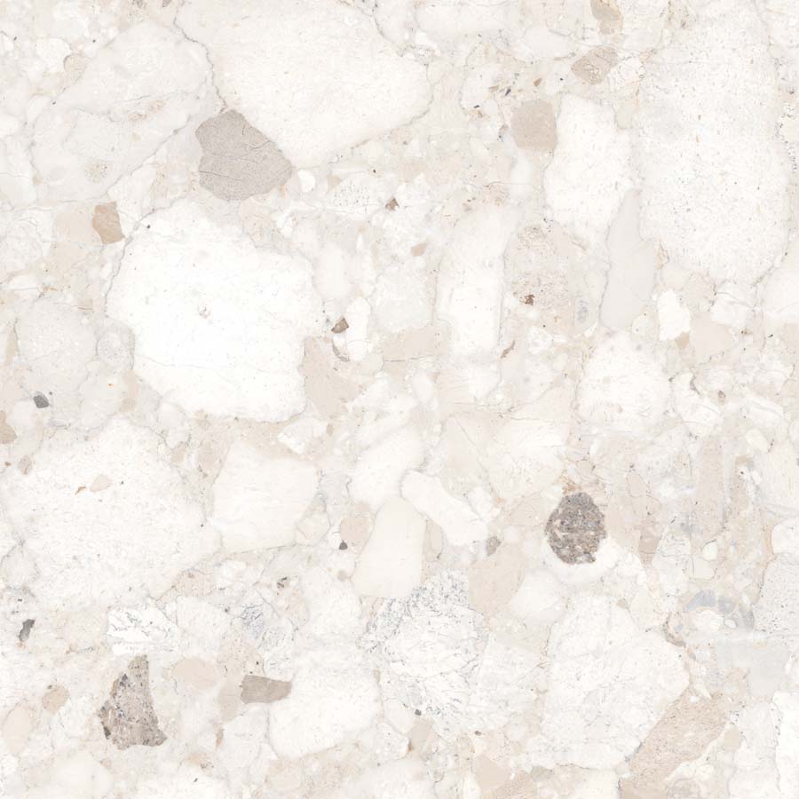 Fliese Terrazzo-Steinoptik creme matt 60x60 cm "Veni Ivory" rektifiziert