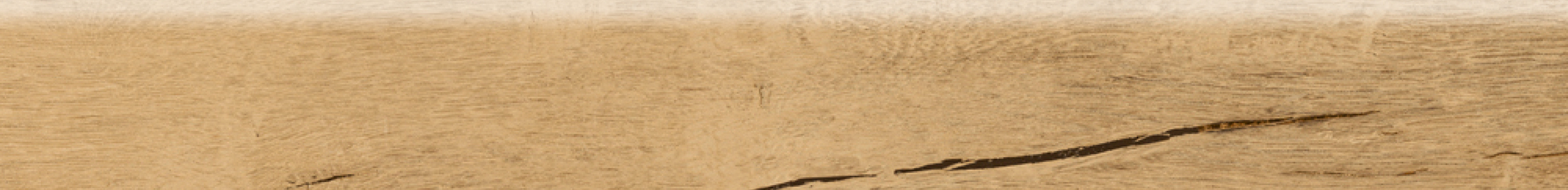 ABVERKAUF Fliesensockel Holzoptik 7,3x60 cm "Timewood Natural" beige