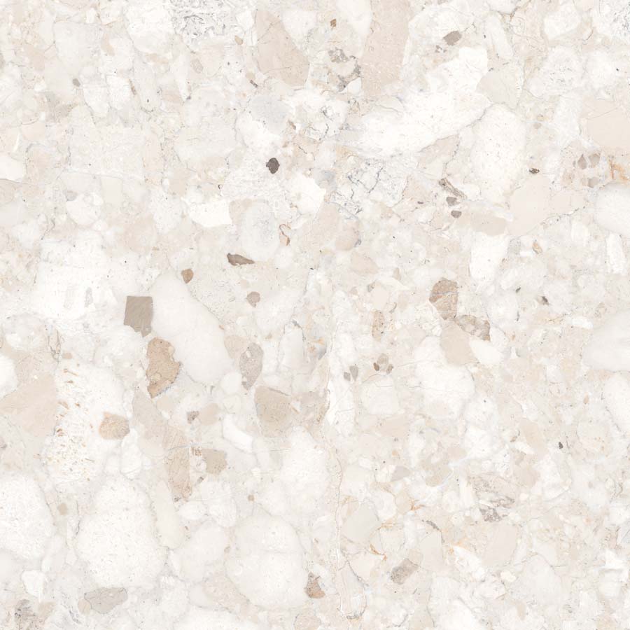 Fliese Terrazzo-Steinoptik creme matt 60x60 cm "Veni Ivory" rektifiziert