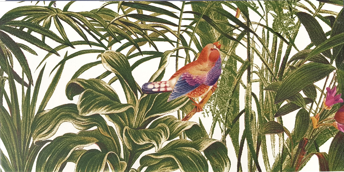 Dekorfliese Jungle Vögel Blumen Farn Wandbild Dschungel Wallpaper Pantanal