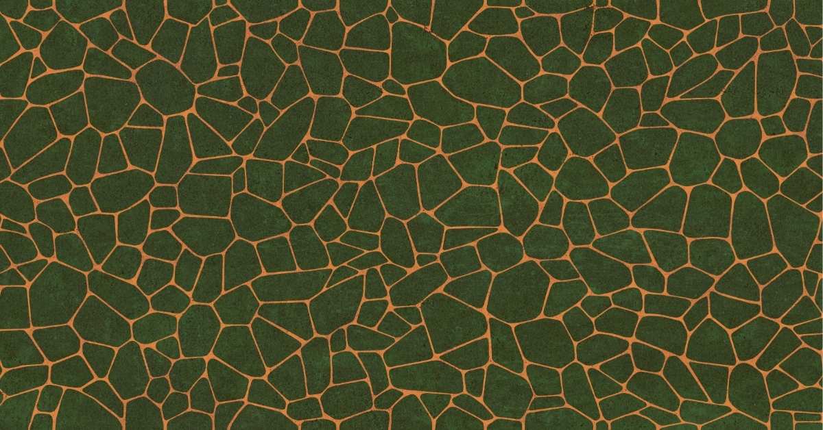 Dekorfliese in Schildkrötenoptik 60x120 cm "Fantasy Berlin Green" Feinsteinzeug rektifiziert