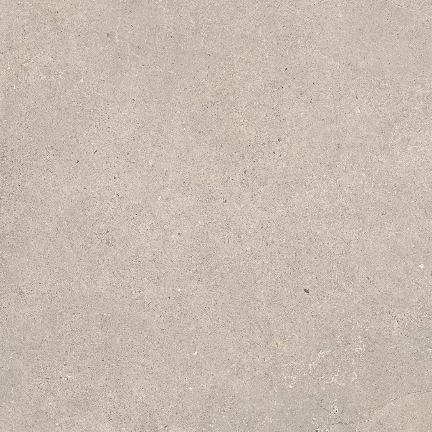 Fliese Kalkstein-Optik braun matt "Serenna Mud" Feinsteinzeug rektifiziert