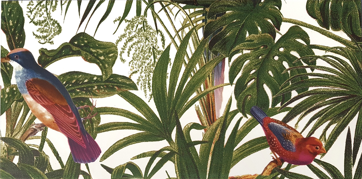 Dekorfliese Jungle Vögel Blumen Farn Wandbild Dschungel Wallpaper Pantanal