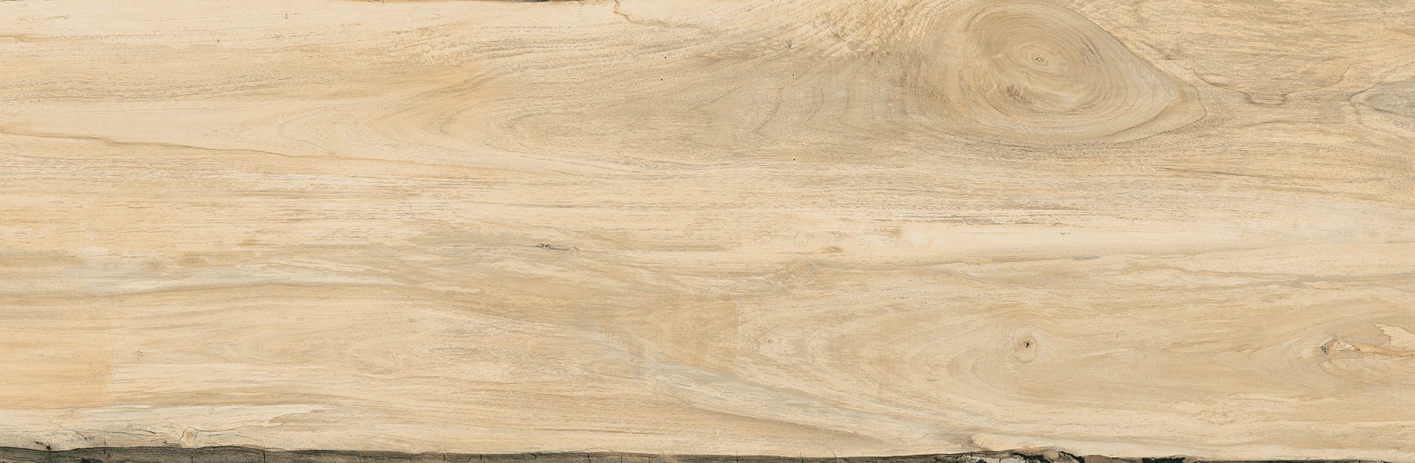 Terrassenplatte Holzoptik Ahorn 40x120 cm Sherwood Maple Feinsteinzeug 2 cm rektifiziert