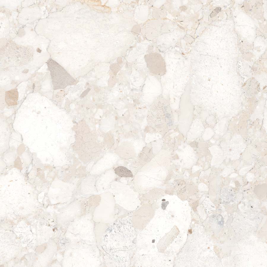 Fliese Terrazzo-Steinoptik creme matt 60x60 cm "Veni Ivory" rektifiziert