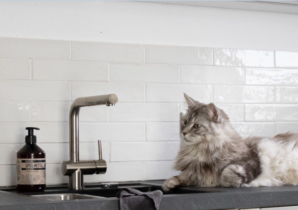 Kuechenfliesen-fliesen-wandfliesen-maine-coon-look-bianco-kueche-weiss