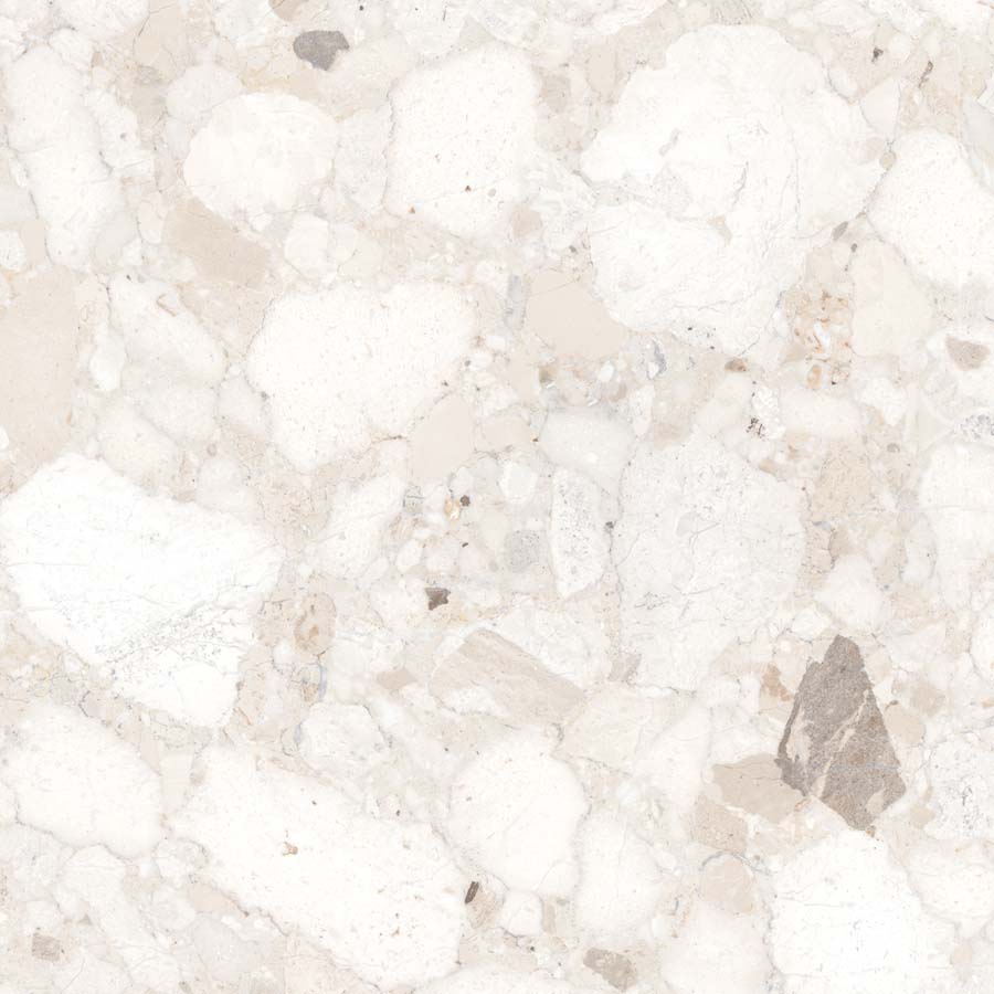 Fliese Terrazzo-Steinoptik creme matt 60x60 cm "Veni Ivory" rektifiziert