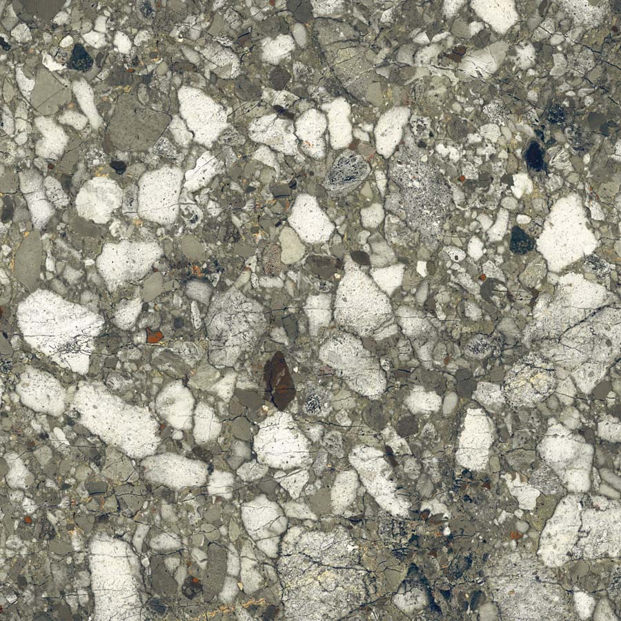 Fliese Terrazzo-Steinoptik grün glänzend 120x120 cm "Veni Emerald" rektifiziert