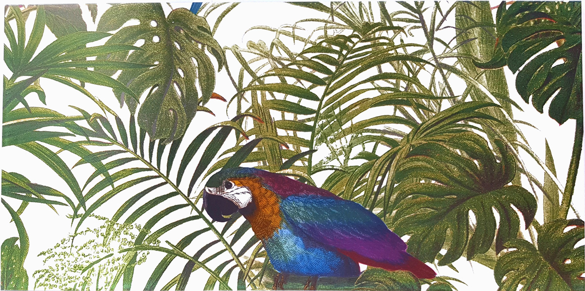 Dekorfliese Jungle Vögel Blumen Farn Wandbild Dschungel Wallpaper Pantanal