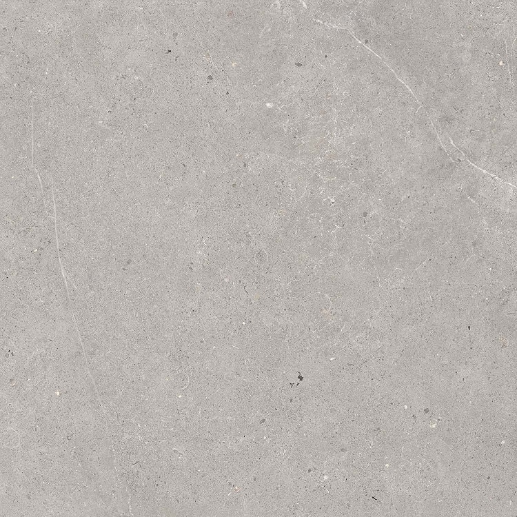 Fliese Kalkstein-Optik grau matt "Serenna Grey" Feinsteinzeug rektifiziert