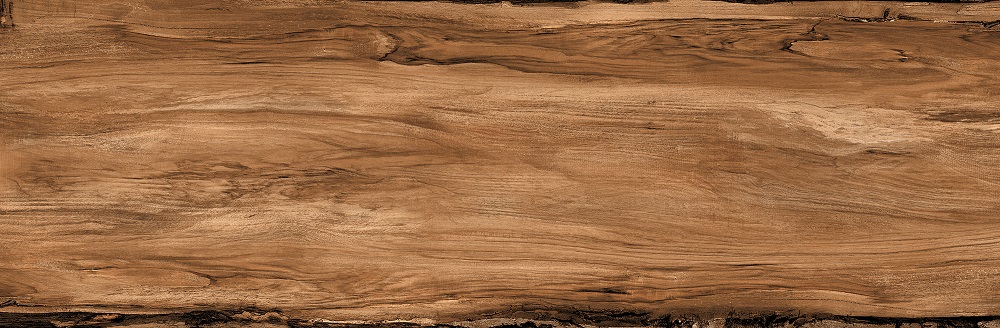 Terrassenplatte Holzoptik Walnuss 40x120 cm "Sherwood Walnut" Feinsteinzeug 2 cm rektifiziert