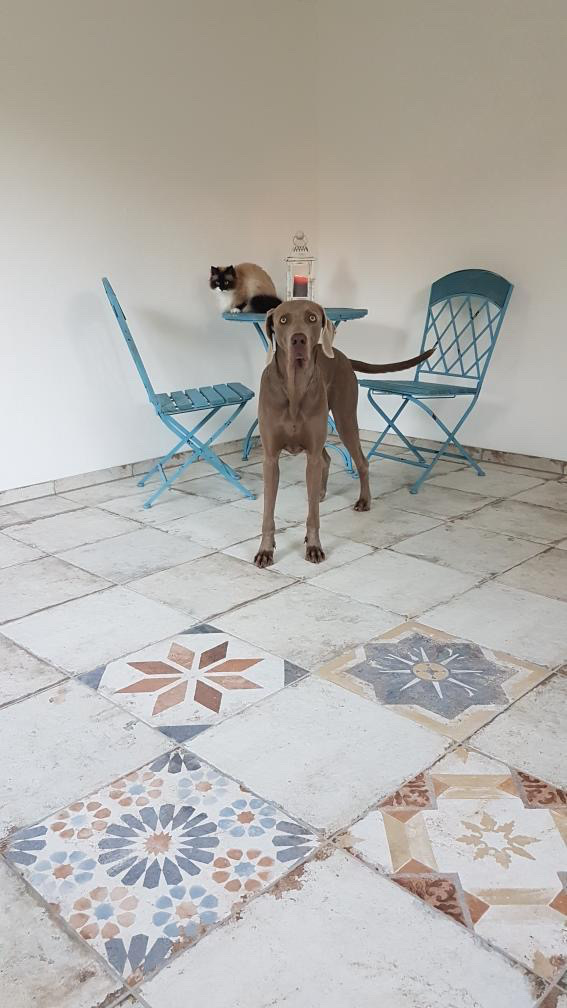 Fliese Vintage Dekor Retro Patchwork bunt Havana Finca Vigia Mix CIR