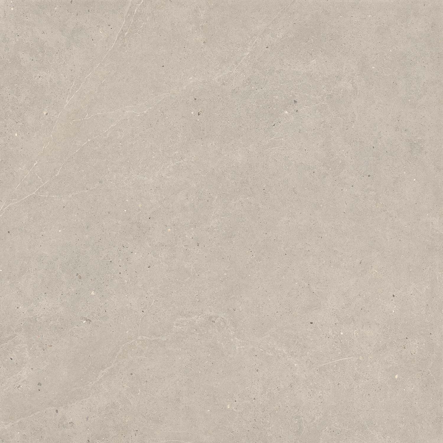 Fliese Kalkstein-Optik braun matt "Serenna Mud" Feinsteinzeug rektifiziert