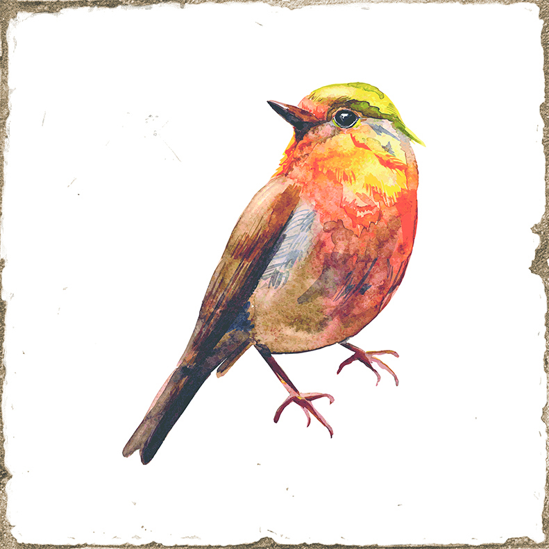 Antike Wandfliese Retro-Dekor Shabby-Chic weiß Rotkehlchen 15x15 cm Forli Birds