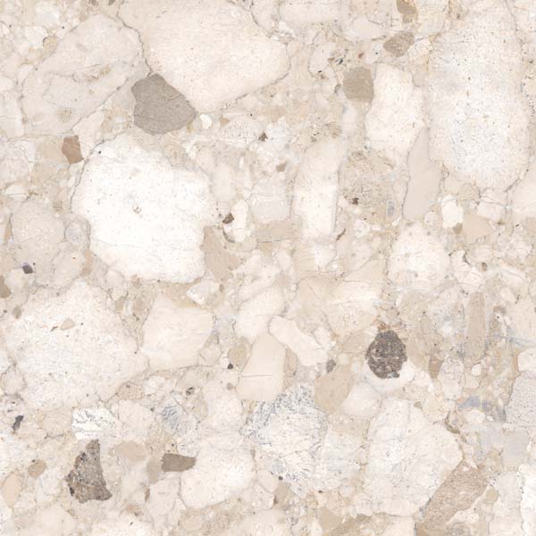 Fliese Terrazzo-Steinoptik beige matt 60x60 cm "Veni Beige" rektifiziert
