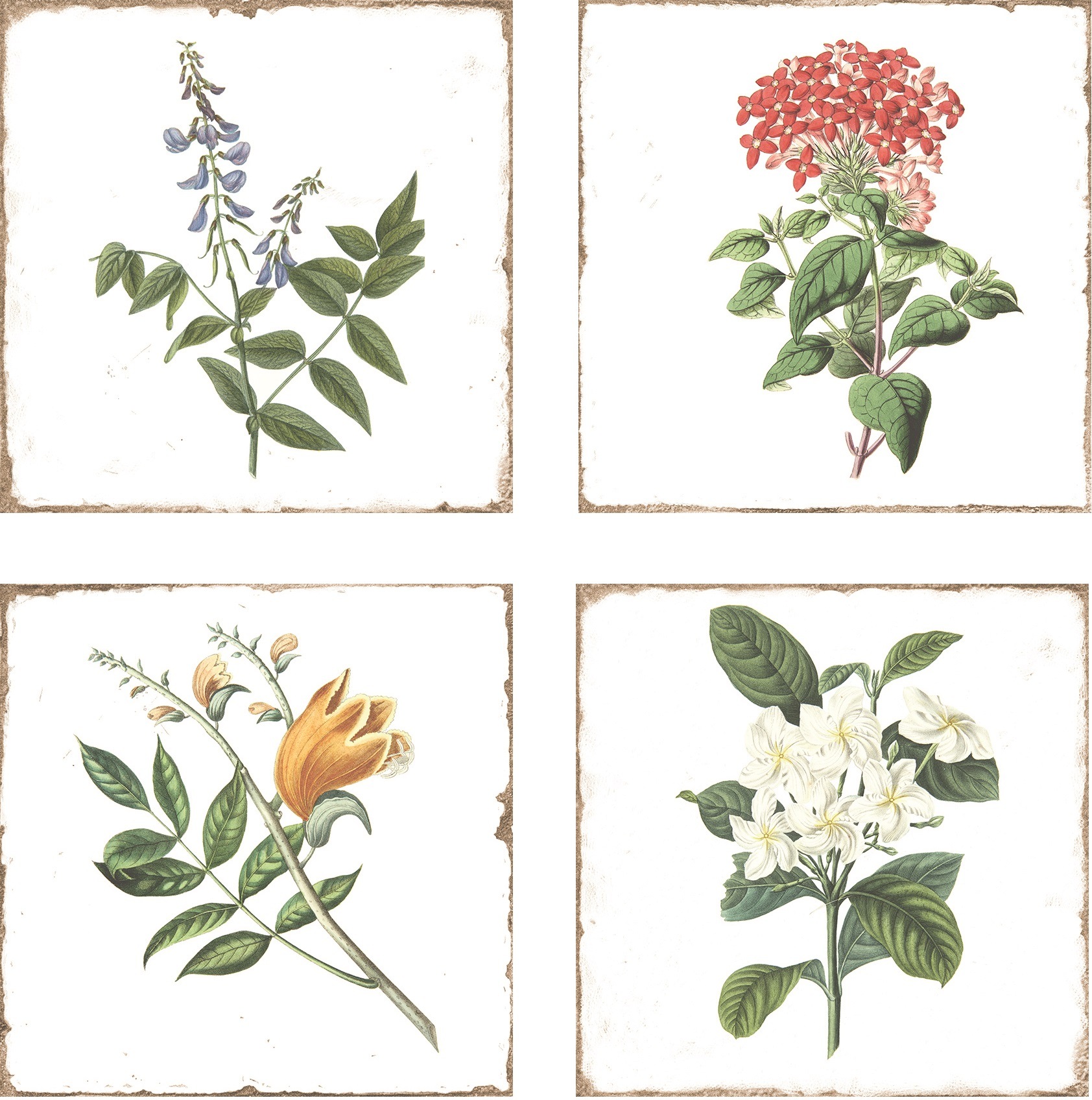 Antike Wandfliese Retro-Dekor Blumen Forli Flower glänzend