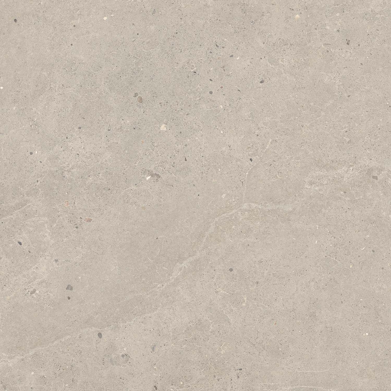 Fliese Kalkstein-Optik braun matt "Serenna Mud" Feinsteinzeug rektifiziert