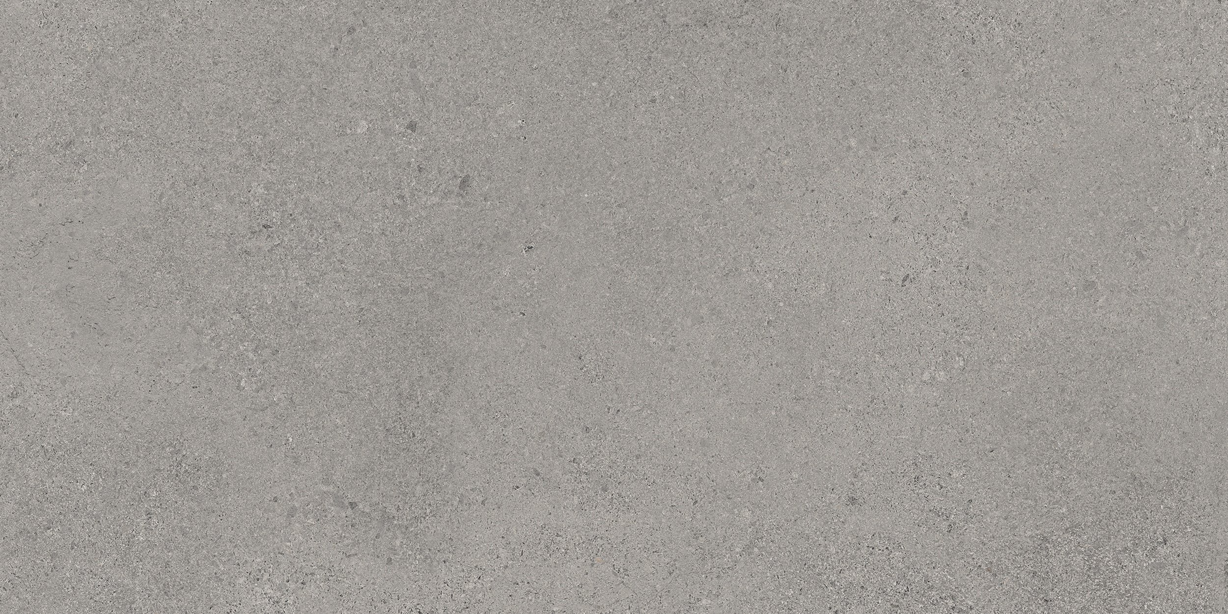 30x60 cm  Fliese Zementoptik mit Terrazzo Logico Grey Sant Agostino grau