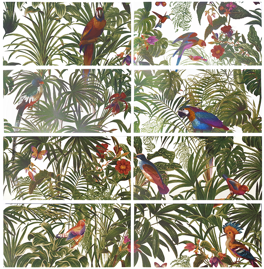 Dekorfliese Jungle Vögel Blumen Farn Wandbild Dschungel Wallpaper Pantanal