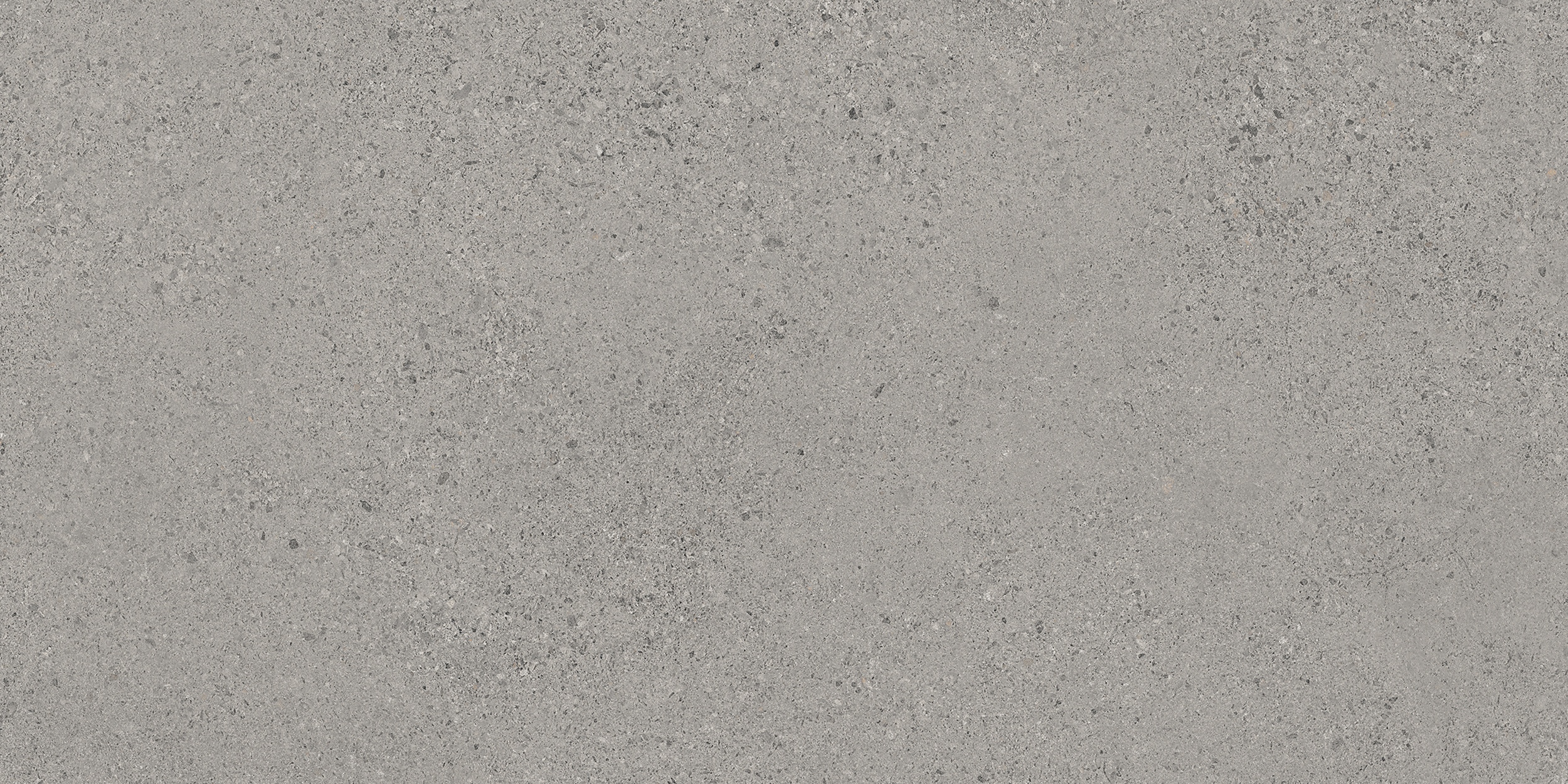 30x60 cm  Fliese Zementoptik mit Terrazzo Logico Grey Sant Agostino grau