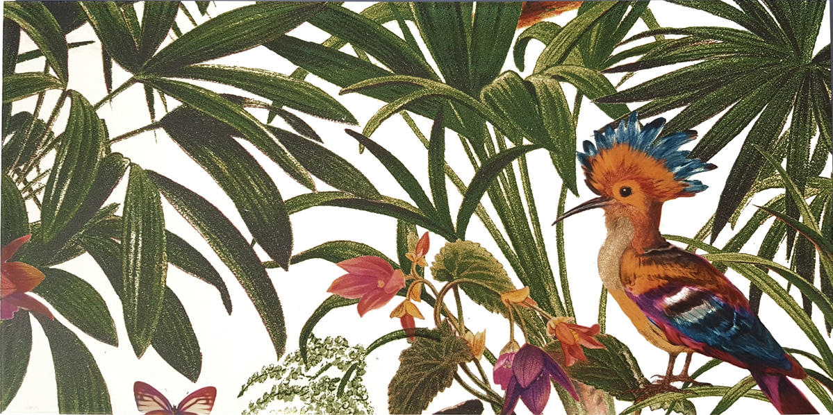 Dekorfliese Jungle Vögel Blumen Farn Wandbild Dschungel Wallpaper Pantanal