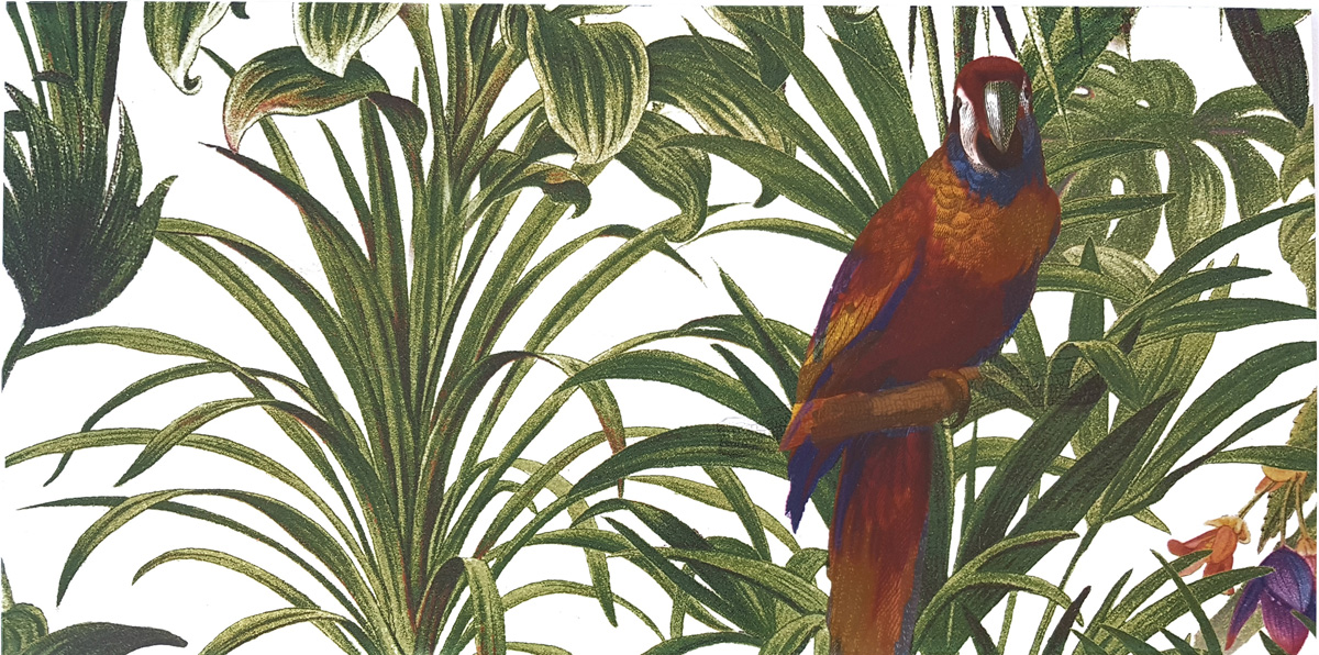 Dekorfliese Jungle Vögel Blumen Farn Wandbild Dschungel Wallpaper Pantanal