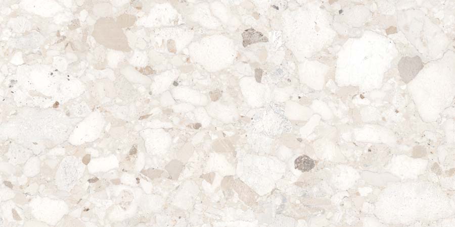 Terrassenplatte Terrazzo-Steinoptik creme 60x120 cm "Venistone Ivory" Feinsteinzeug 2 cm rektifiziert
