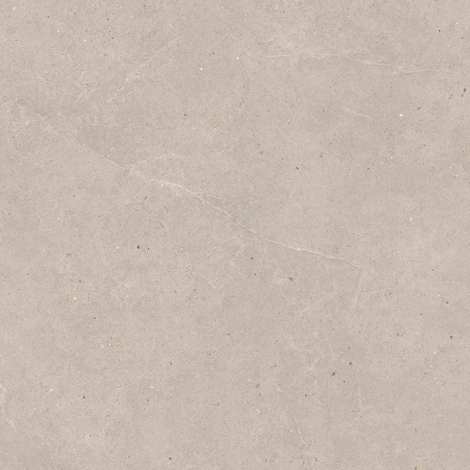 Fliese Kalkstein-Optik braun matt "Serenna Mud" Feinsteinzeug rektifiziert