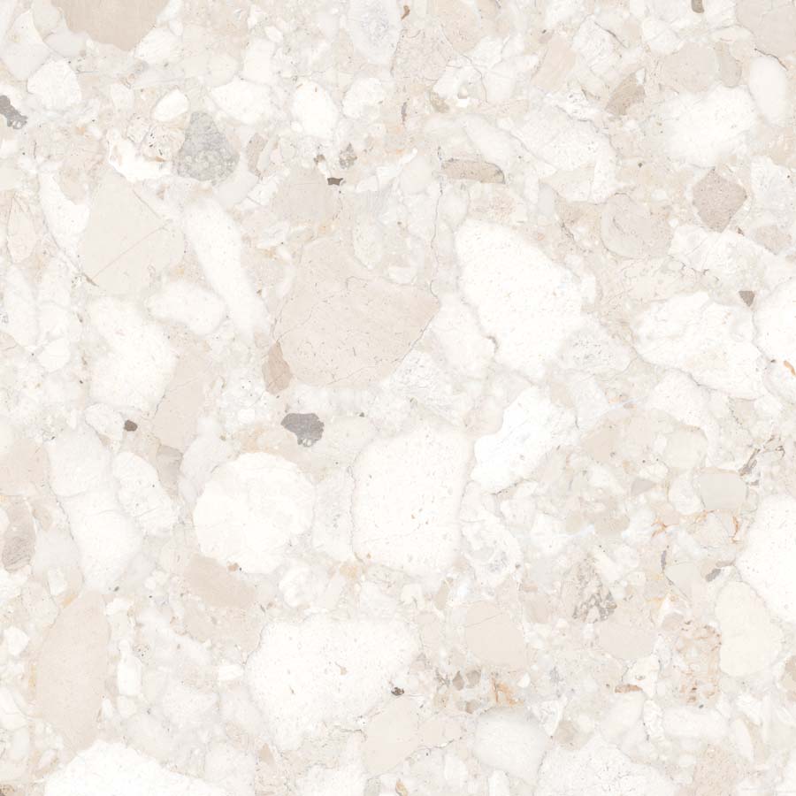 Fliese Terrazzo-Steinoptik creme matt 60x60 cm "Veni Ivory" rektifiziert