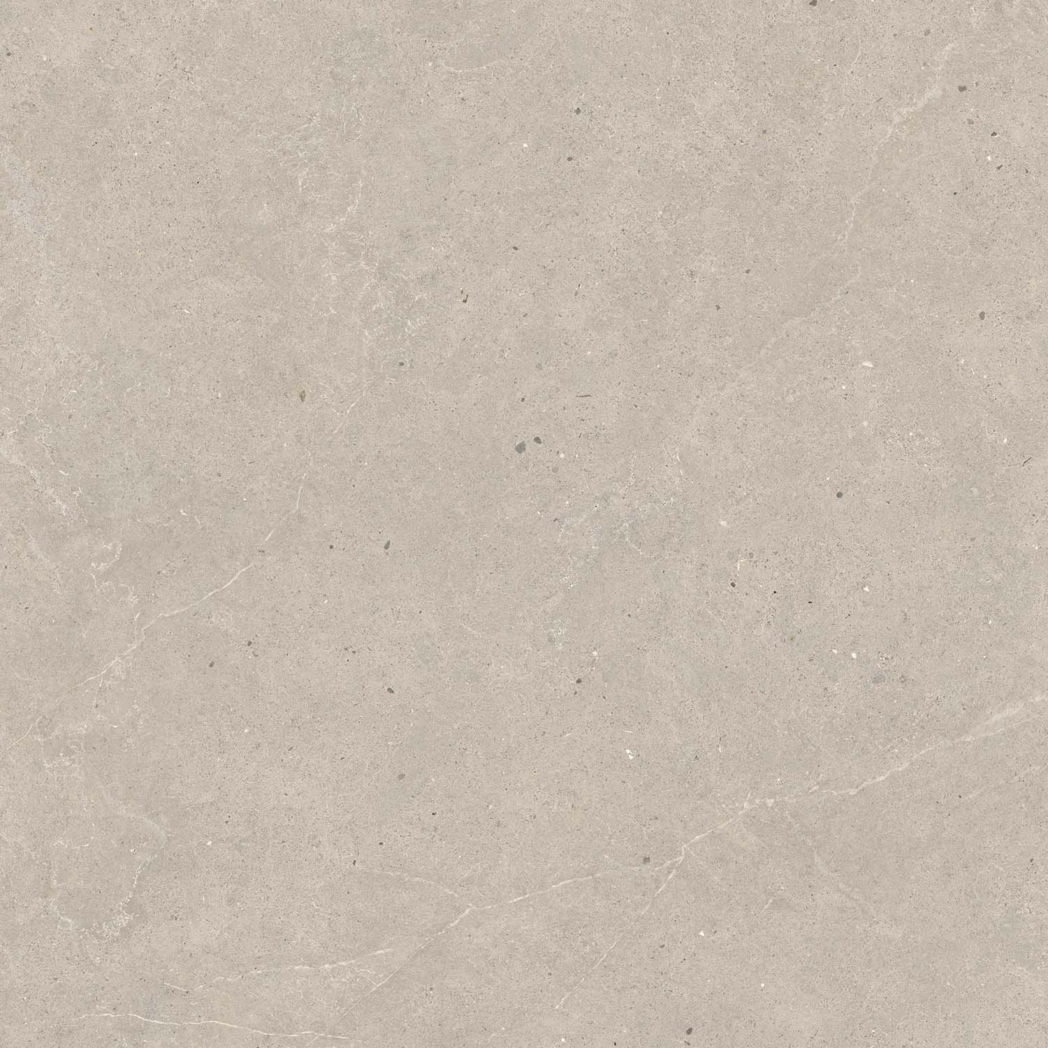 Fliese Kalkstein-Optik braun matt "Serenna Mud" Feinsteinzeug rektifiziert