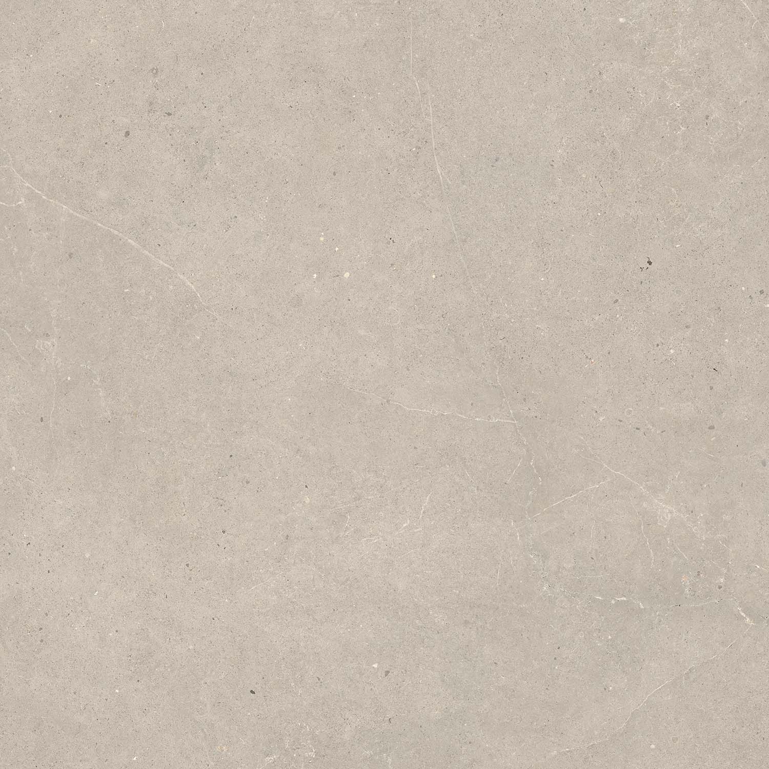 Fliese Kalkstein-Optik braun matt "Serenna Mud" Feinsteinzeug rektifiziert