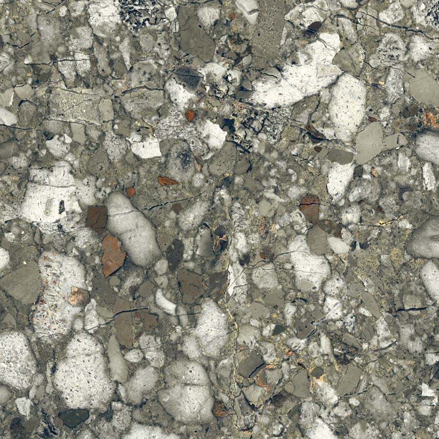 Fliese Terrazzo-Steinoptik grün matt 60x60 cm "Veni Emerald" rektifiziert