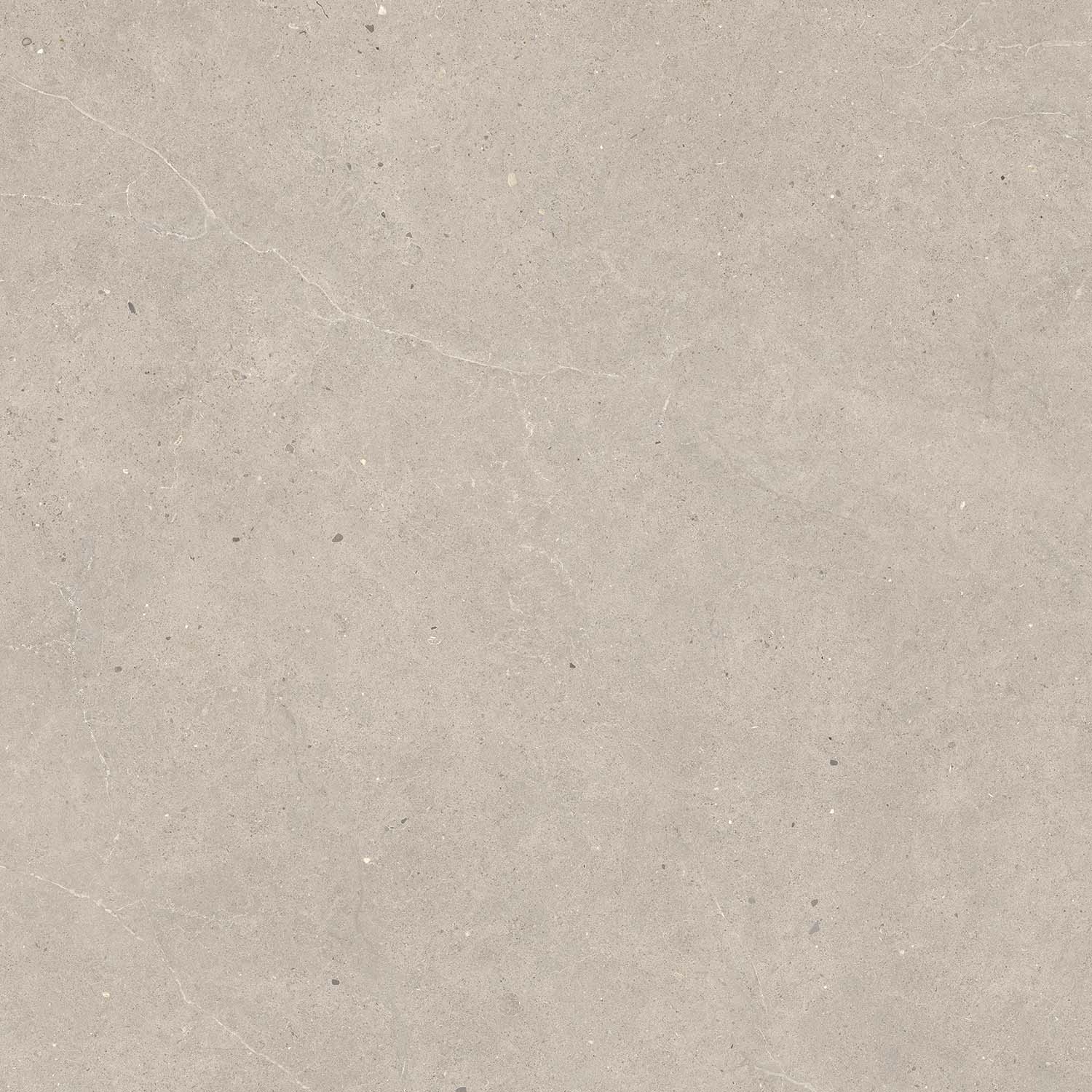 Fliese Kalkstein-Optik braun matt "Serenna Mud" Feinsteinzeug rektifiziert