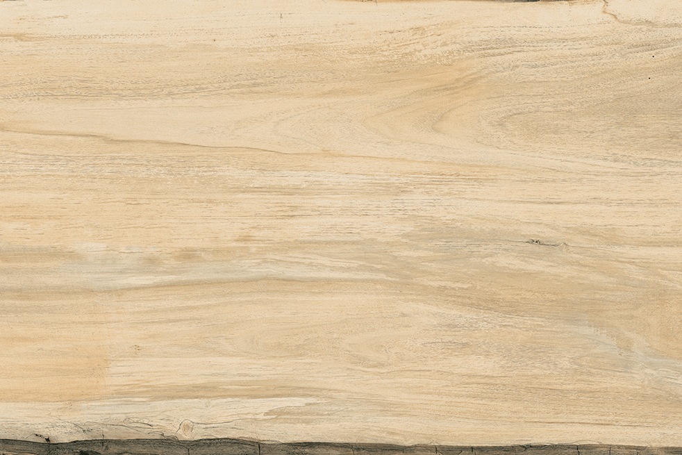 Terrassenplatte Holzoptik Ahorn 40x120 cm Sherwood Maple Feinsteinzeug 2 cm rektifiziert