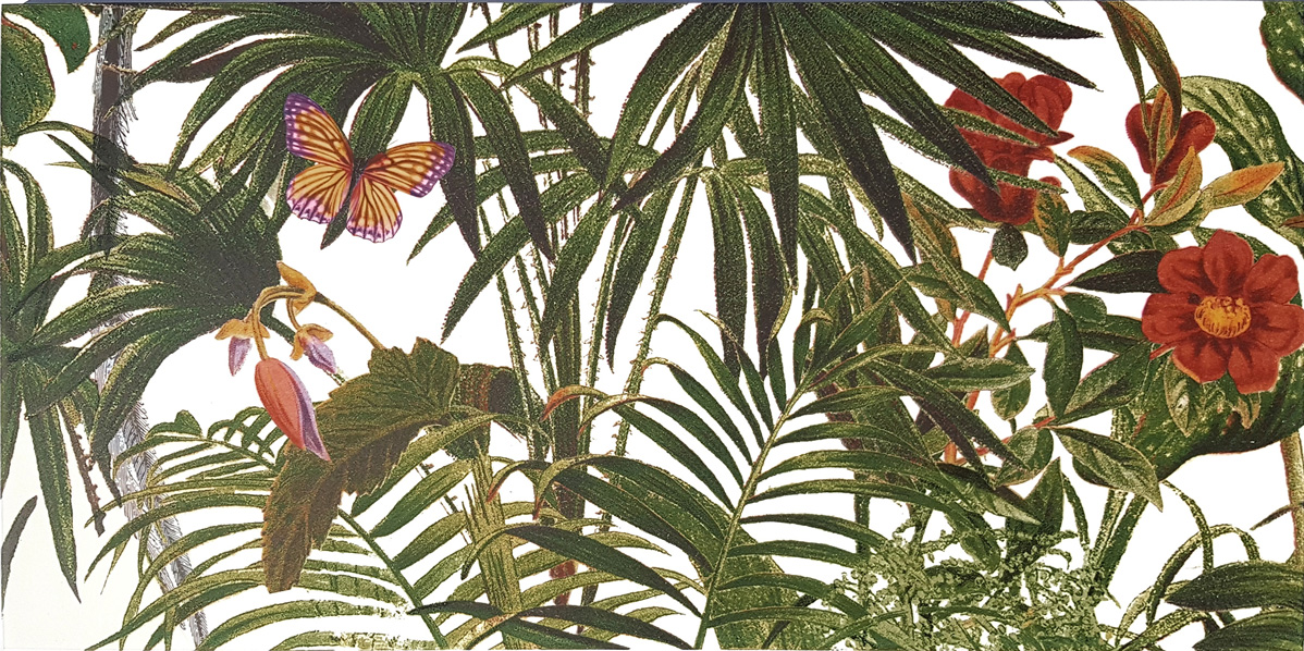 Dekorfliese Jungle Vögel Blumen Farn Wandbild Dschungel Wallpaper Pantanal