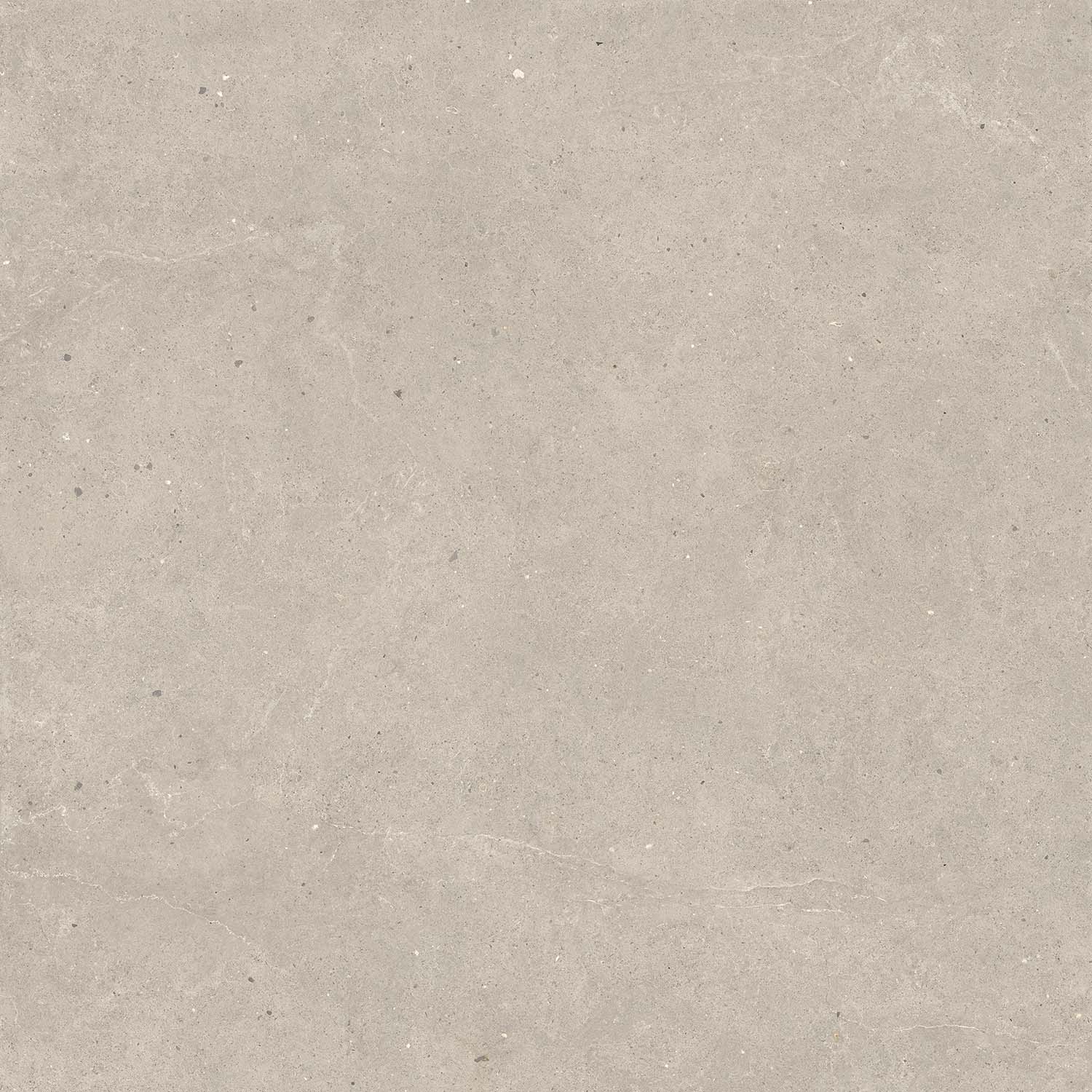 Fliese Kalkstein-Optik braun matt "Serenna Mud" Feinsteinzeug rektifiziert